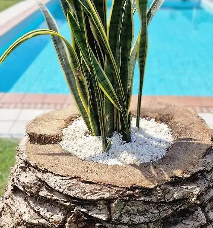Vila El Pastizal De Gijon Con Finca, Bbq, Fkk Y Piscina Privada - Vv-2608-as La Pedrera