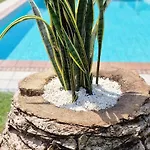 Villa El Pastizal De Gijon Con Finca, Bbq, Fkk Y Piscina Privada - Vv-2608-as La Pedrera